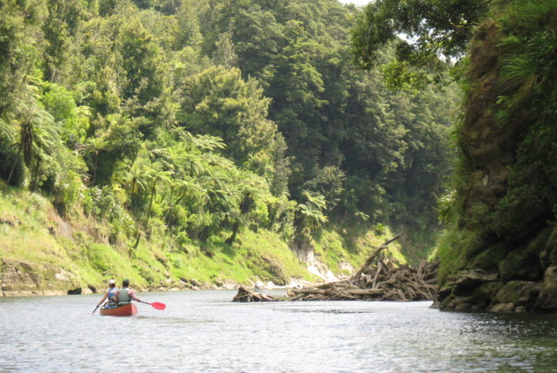 Whanganui River – NZ